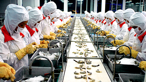 Planea Vietnam alcanzar más de 6 mil 700 millones de dólares de exportación de mariscos